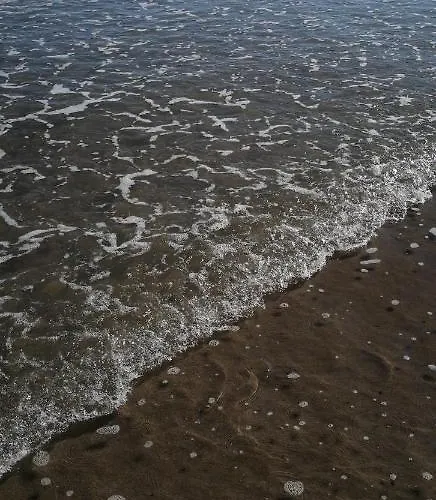 Malvarrosa Apartman Valencia